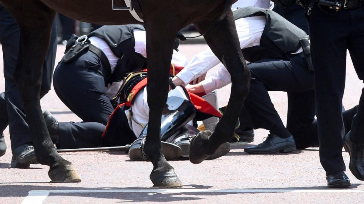 Lord Guthrie wird von Polizisten behandelt, nachdem er nach der Milit&auml;rparade "Trooping The Colour" anl&auml;sslich des 92. Geburtstags der Queen vor dem Buckingham-Palast vom Pferd fiel. (Foto)