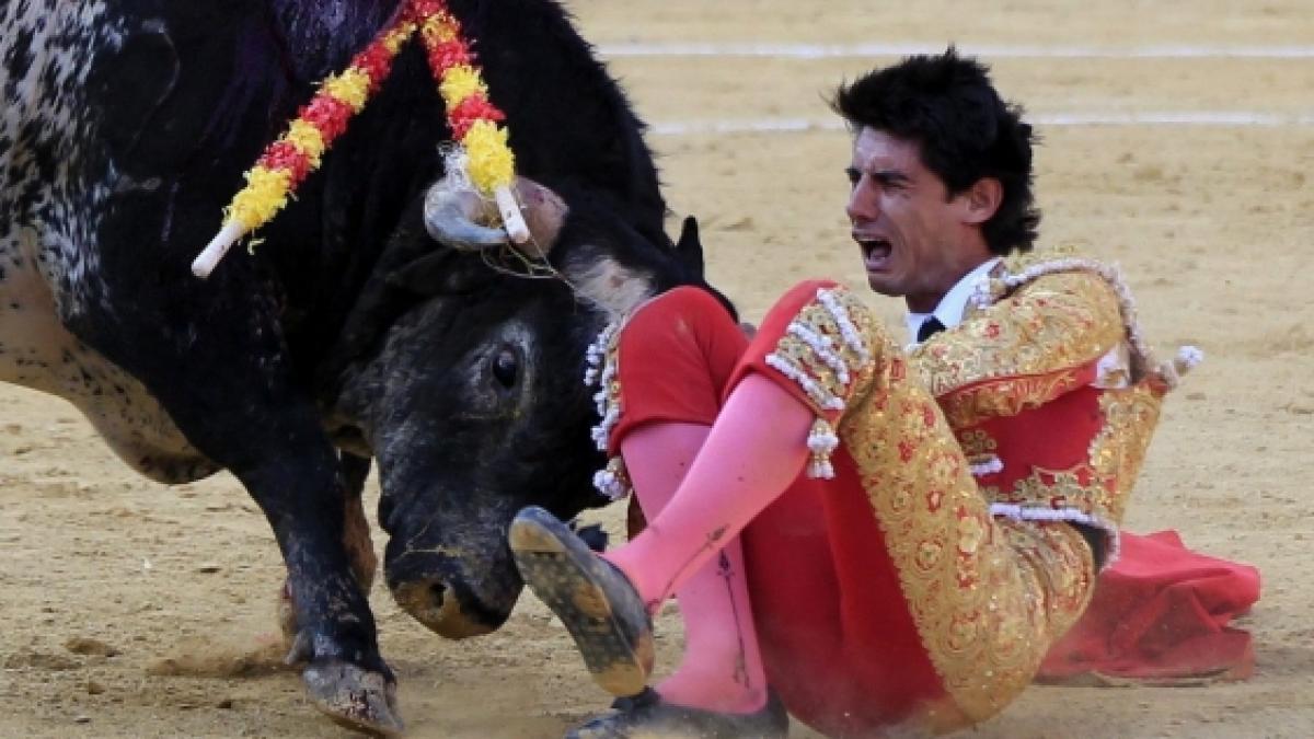 Der Torero V&iacute;ctor Barrios starb beim Stierkampf. (Foto)
