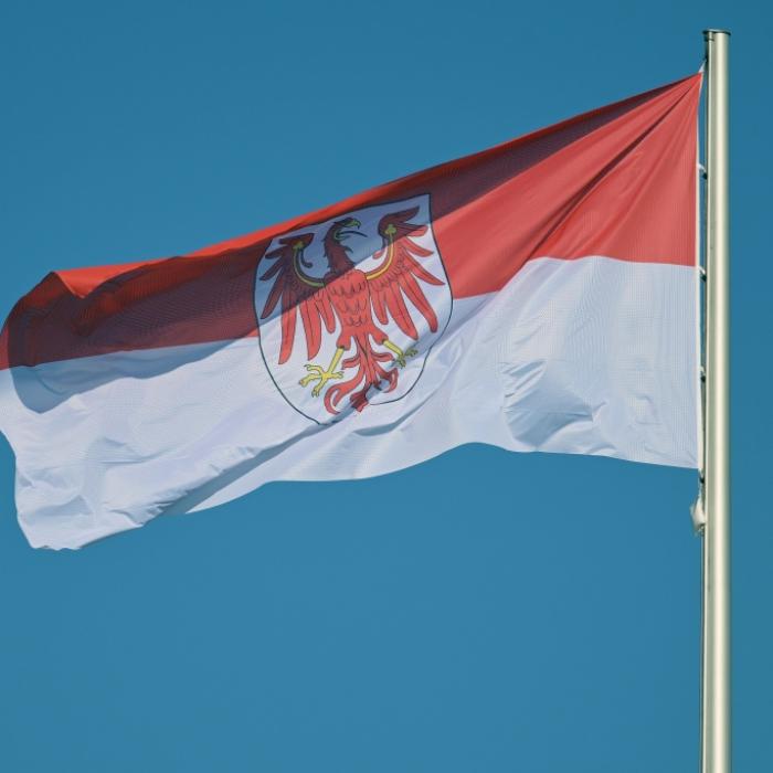 Wie verbreitet sind Corona, Grippe und RSV im Oktober 2026?
