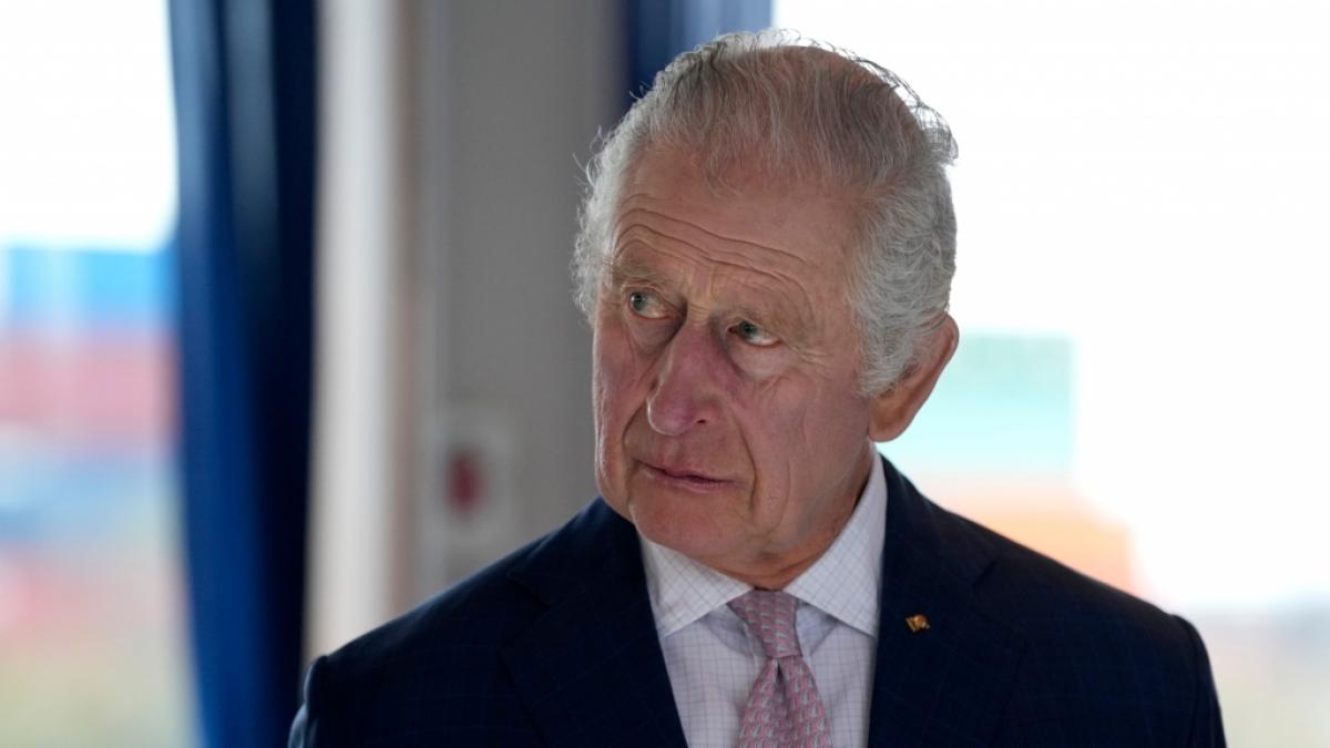 Auch K&ouml;nig Charles III. sorge in dieser Woche f&uuml;r Schlagzeilen. (Foto)