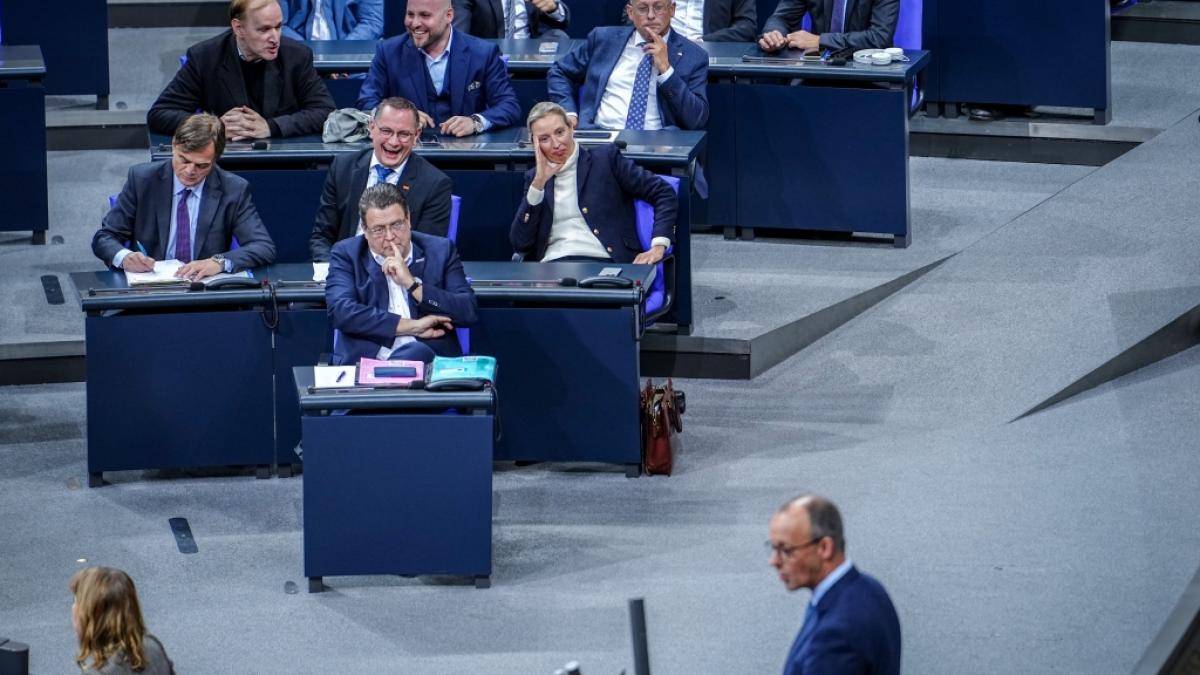Einer der Politik-Aufreger der Woche: CDU-Chef Friedrich Merz (vorn) sicherte sich im Bundestag mit Stimmen der AfD eine Mehrheit f&uuml;r einen Unions-Antrag zur Migrationspolitik. (Foto)
