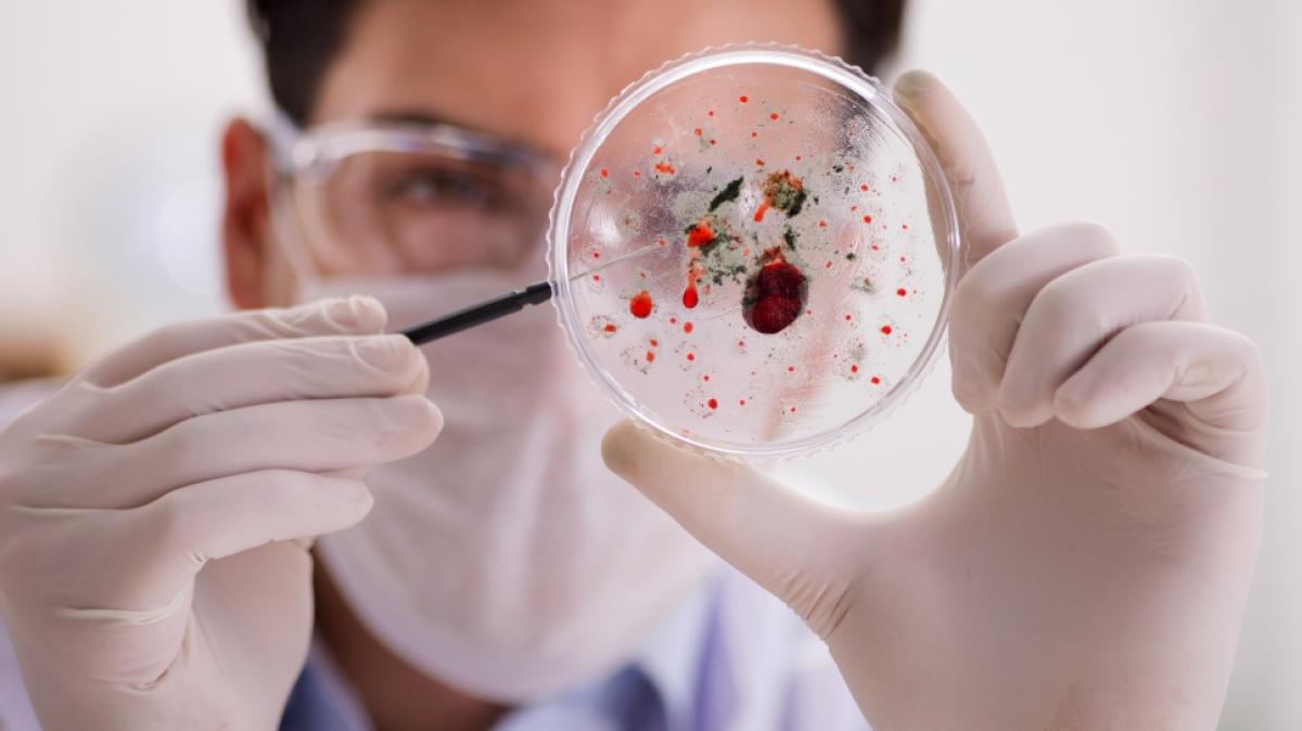 Experten warnen vor vier Erregern, die 2026 die Gesundheitslage negativ beeinflussen k&ouml;nnen. (Foto)