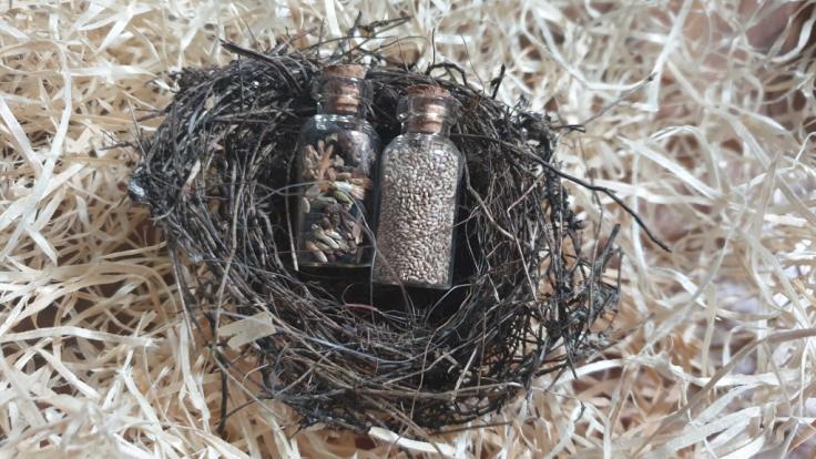 Osternest mit Samen