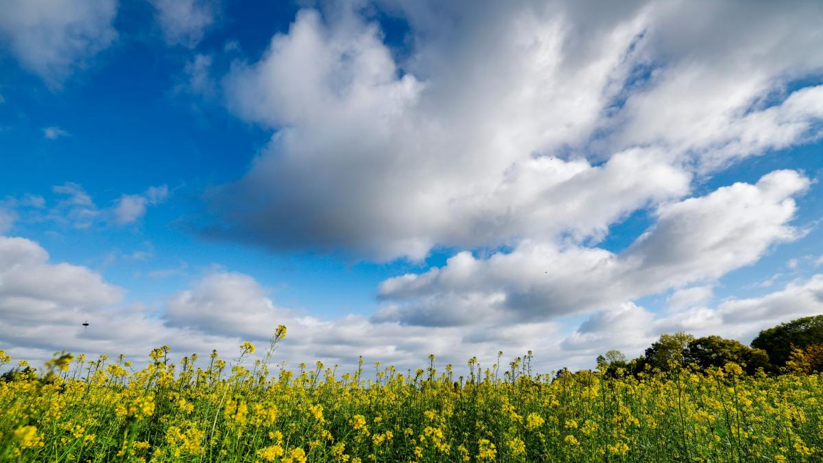 Deutschland darf sich noch einmal auf einen Hauch Sommer freuen. (Foto)