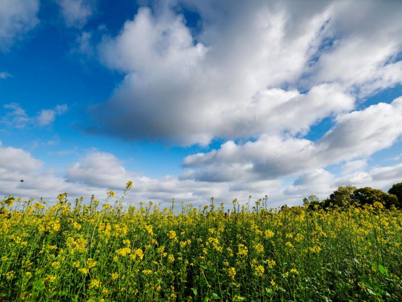 Wetter-Achterbahn zum Monatsende: Bis zu 21 Grad Ende Oktober – droht dann ein Kältekracher?