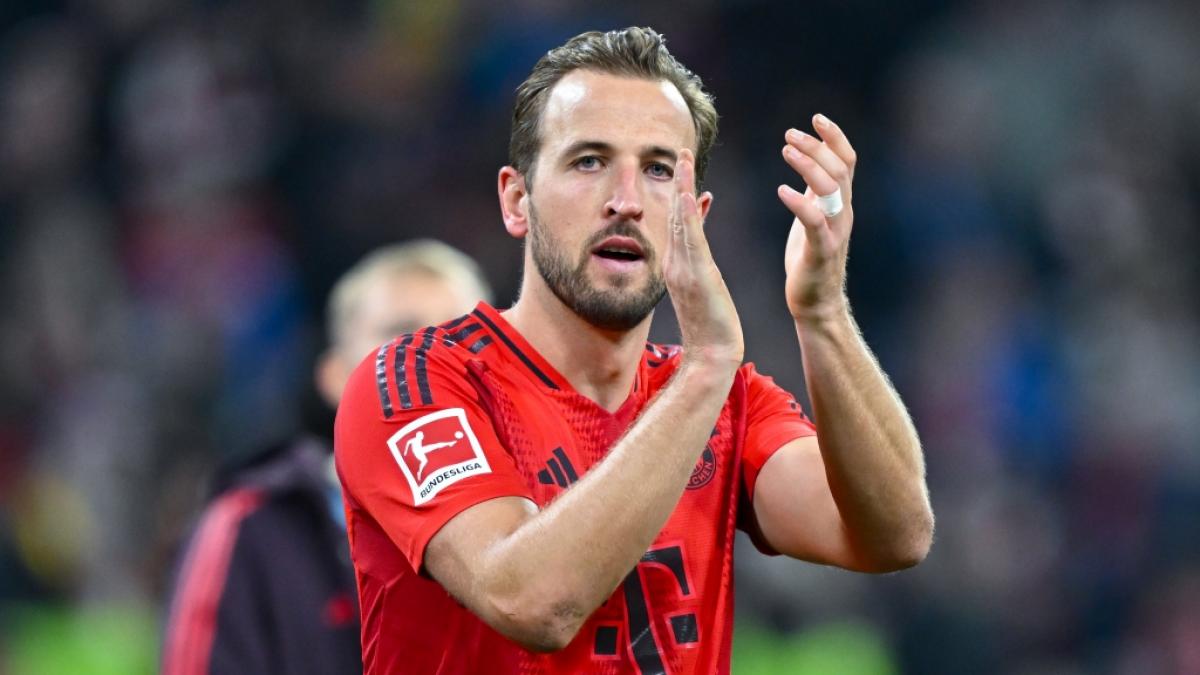 Wer wird in Zukunft Nachfolger von St&uuml;rmer-Star Harry Kane beim FC Bayern M&uuml;nchen? (Foto)