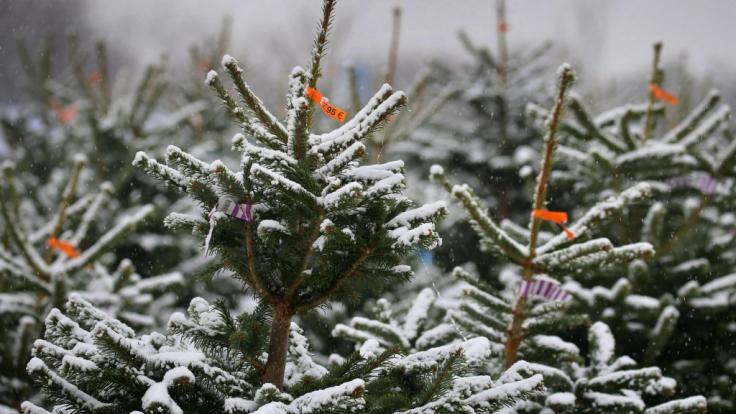 Wie stehen die Chancen auf weiße Weihnachten 2020?