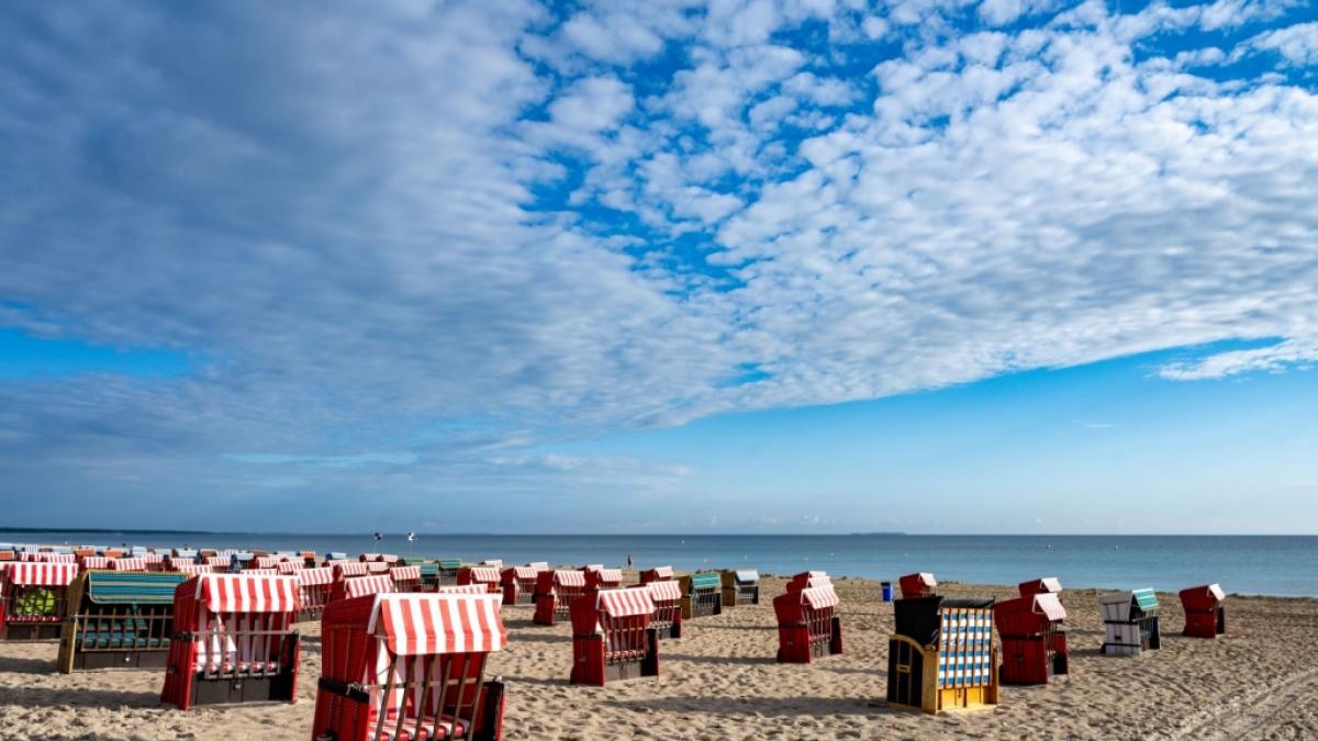 Die Klimakatastrophe hat negative Auswirkungen auf die &Ouml;kosysteme in Nord- und Ostsee. (Foto)