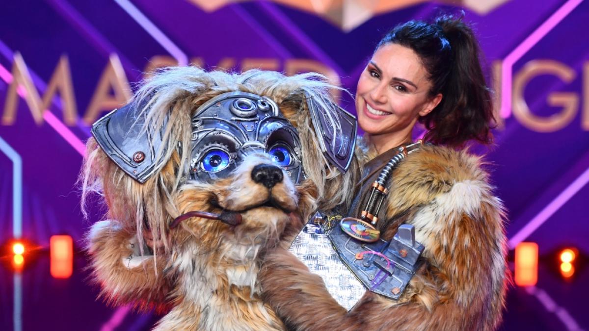 Nazan Eckes begeisterte 2024 als Robodog bei "The Masked Singer" und mit unterschiedlichen Outfits auf Instagram. (Foto)