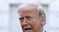 Donald Trumps Ukraine-Deal könnte Wladimir Putin in die Hände spielen.