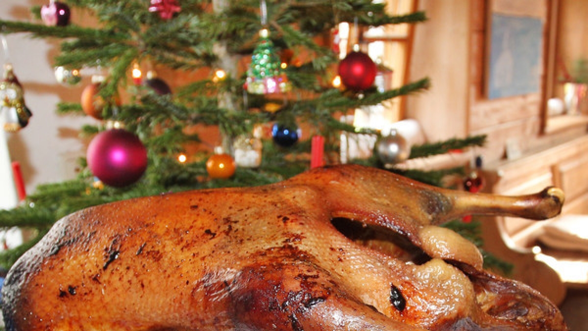 Damit man den Weihnachtsbraten genie&szlig;en kann, sollte man auf die Herkunft der Gans achten. (Foto)