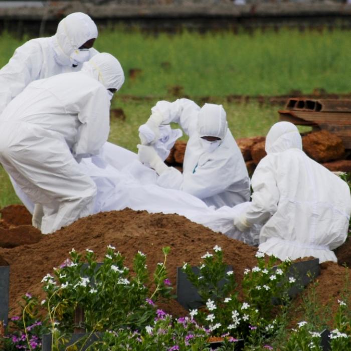 Tödliches Virus verursacht 