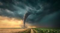 Am Mittwoch droht in vielen Teilen Deutschlands eine Unwetterwarnung wegen heftiger Sturmböen. Es herrscht sogar Tornadogefahr.