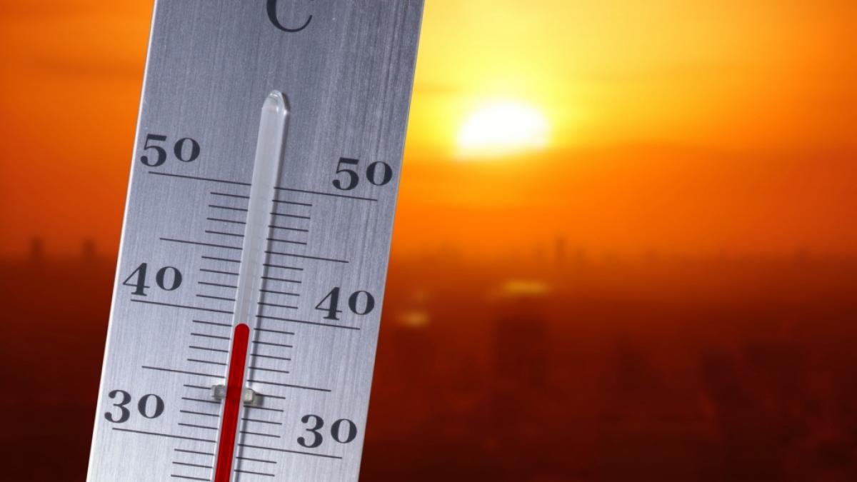 Prognosen sagen f&uuml;r Deutschland im Sommer Temperaturen von &uuml;ber 40 Grad heraus. (Foto)