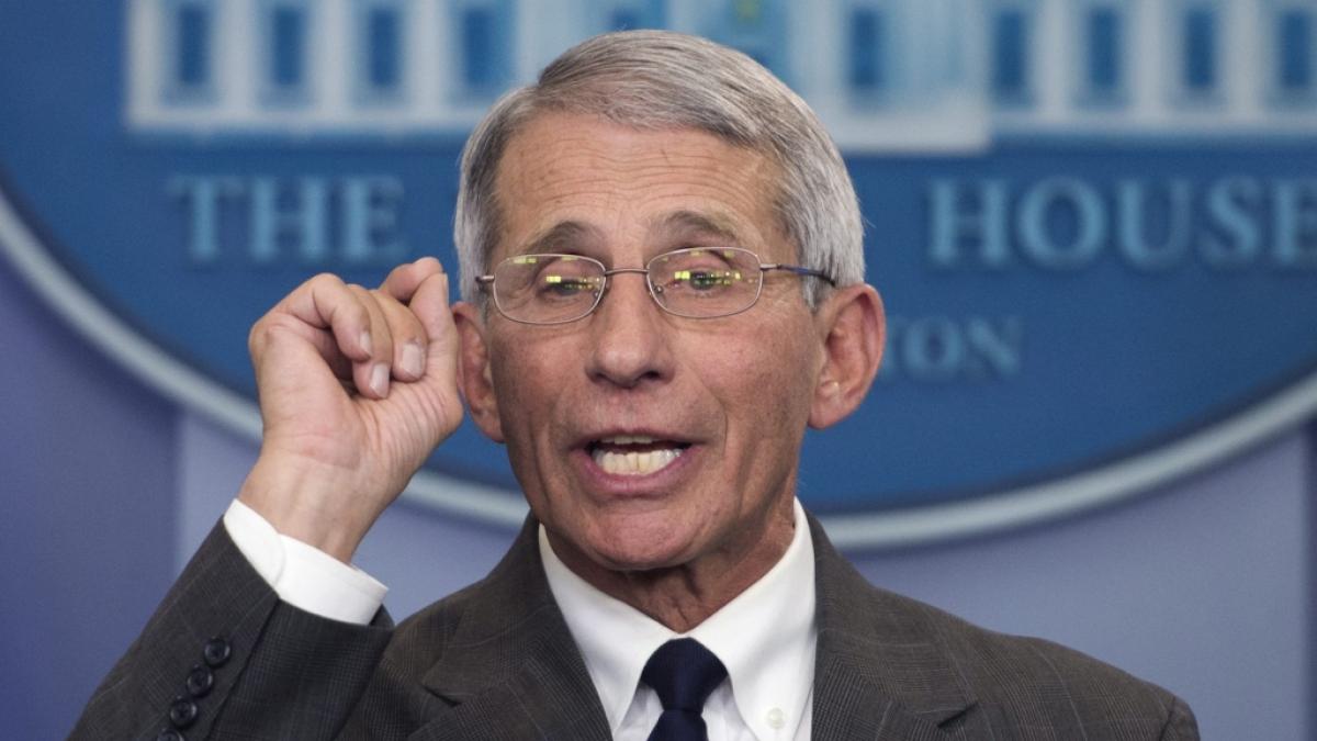 Hat Anthony Fauci den Ursprung des Coronavirus verschleiert? (Foto)