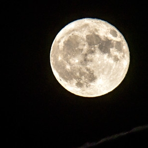 Hier beobachten Sie 2016 die Leoniden und den Super-Vollmond!