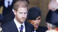Prinz Harrys und Meghan Markles Plan von einem Promi-Leben in den USA ging gehörig nach hinten los, wie aktuelle Umfragen zur Beliebtheit der Exil-Royals zeigen.