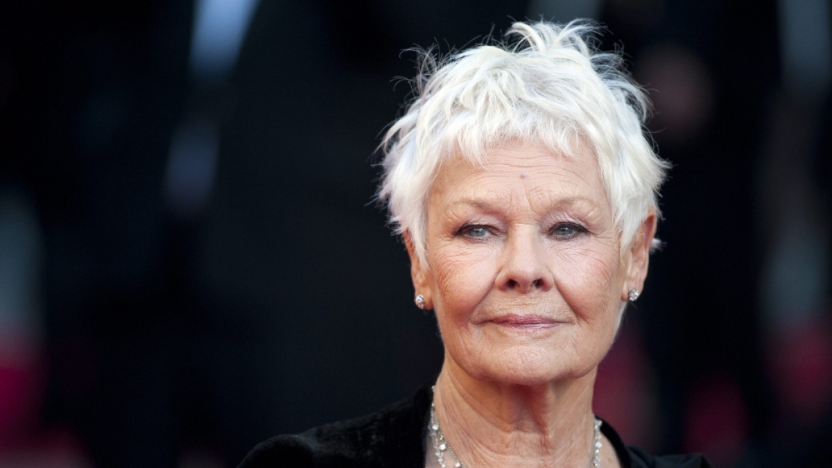 Verliebt wie ein Teenager: F&uuml;r Judi Dench kennt Liebe keine Altersbegrenzung. (Foto)