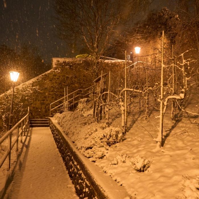 Neuschnee-Alarm bis in tiefe Lagen - dann kommt der Frühlingsumschwung