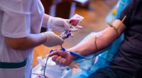Blutspenden werden dringend benötigt. (Symbolfoto)