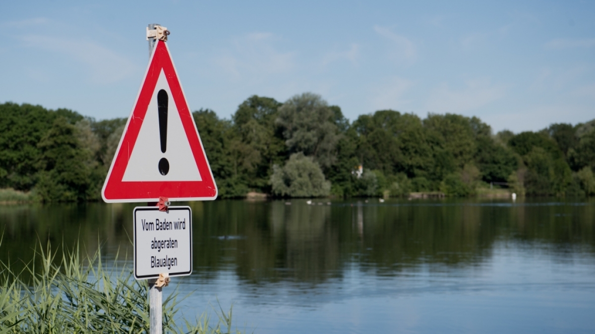 Badeverbot am&nbsp;Hohnsensee in Hildesheim aufgrund von Blaualgen.&nbsp; (Foto)