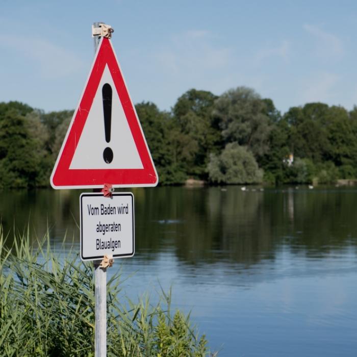 Ekel-Keime in unseren Seen! DARUM ist Baden jetzt extrem gefährlich