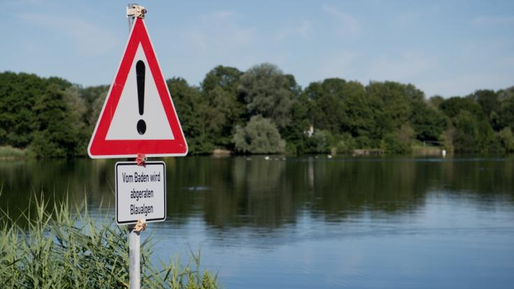 Badeverbot am Hohnsensee in Hildesheim aufgrund von Blaualgen.