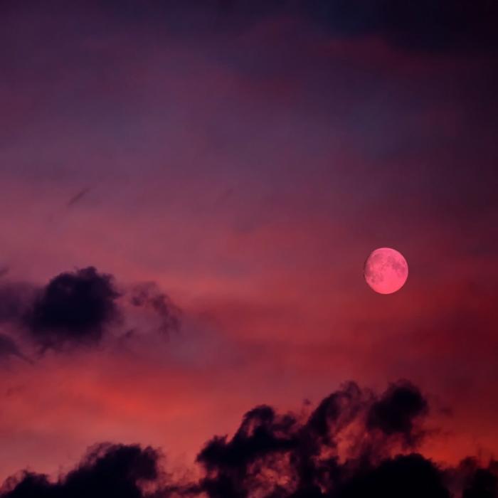 Rosa Ostermond! DAS steckt hinter dem seltenen Pink Moon