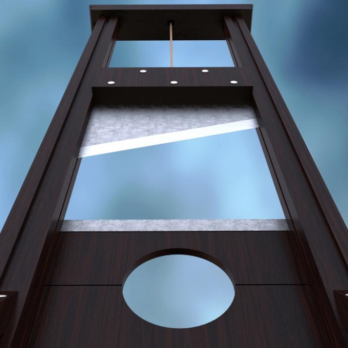 Ehepaar köpft sich mit selbstgebauter Guillotine selbst