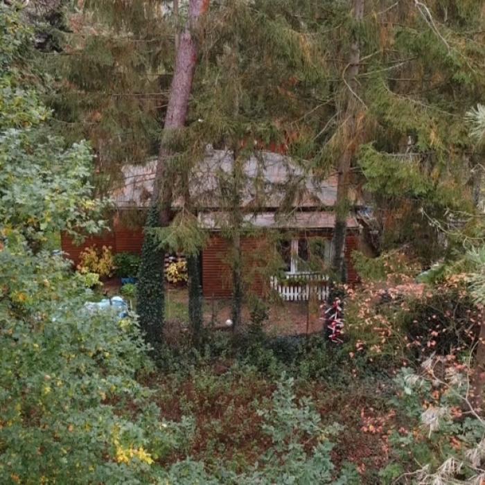 Menschliche Knochen gehören zu Leiche vom Messer-Mord am Würmsee