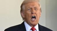 Mit einem KI-generierten Bild, das ihn beim Ausgraben eines Rohrs aus einem Grab zeigt, hat Donald Trump die Wiederbelebung der Keystone-XL-Pipeline angekündigt.