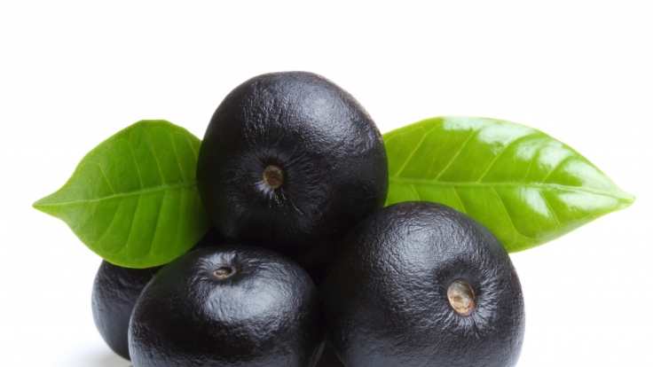 Die Acai-Beere wird vor allem wegen ihrer Antioxidantien geschätzt.