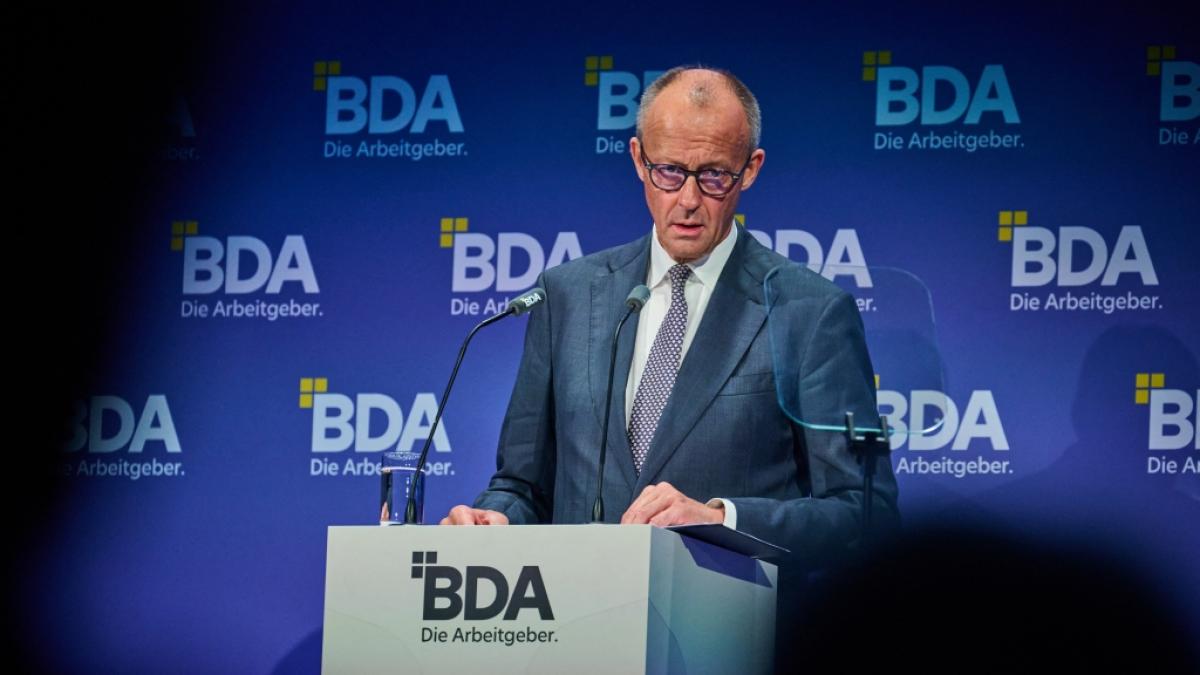 Friedrich Merz schockt mit "Liebling der Nation"-Aussage. (Foto)