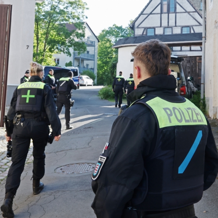 Verkehrsunfall mit Wild und weitere Fälle