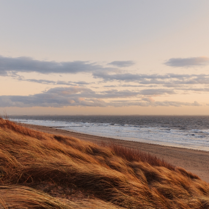 Das Nordsee-Wetter für heute und morgen! So warm ist das Wasser