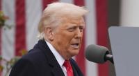 Donald Trump kündigte hohe Zölle auf Autoimporte an. Auch Japan wird betroffen sein.