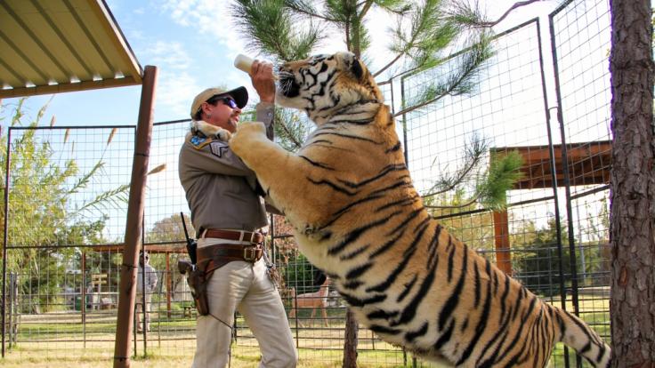 Der selbst ernannte Tiger King, Joe Exotic.