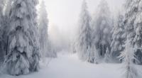 Droht Deutschland ein kalter Winter?