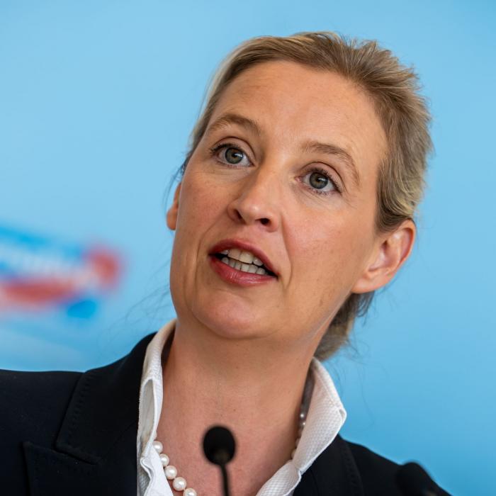 Union stürzt ins Bodenlose - Regierungen ohne AfD bald unmöglich?