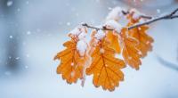 Droht Deutschland schon in zwei Wochen der erste Wintereinbruch?