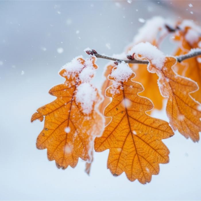 Droht Deutschland schon in zwei Wochen der erste Wintereinbruch?