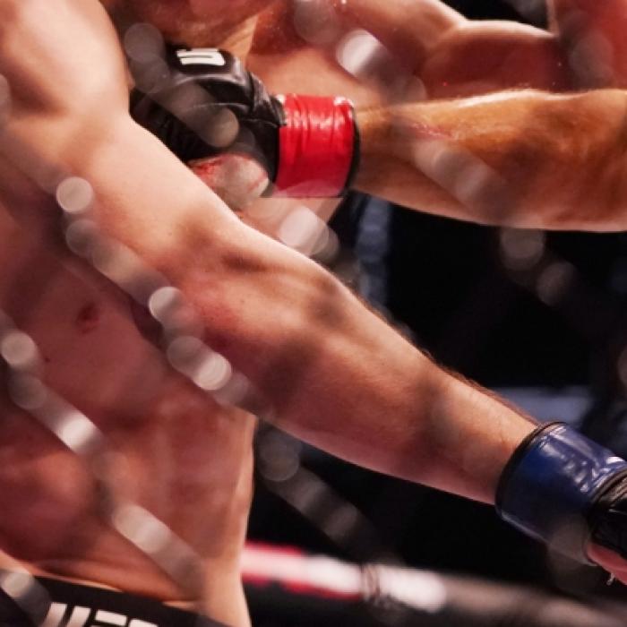 Jan Blachowicz vs. Magomed Ankalaev: Wer glänzte im Titel-Fight, wer ging unter?