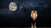 Am 8. August steht der Neumond im feurigen Löwen.
