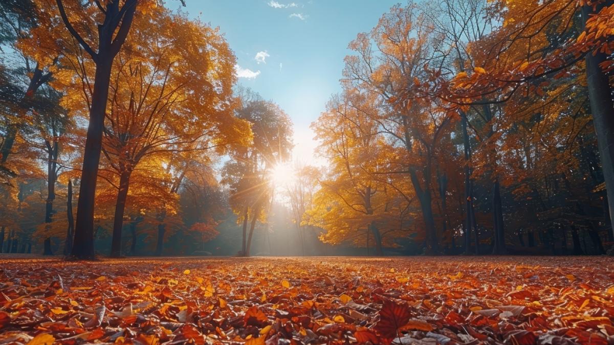 Das ruhige Herbstwetter bleibt erhalten. (Foto)