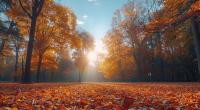 Das ruhige Herbstwetter bleibt erhalten.