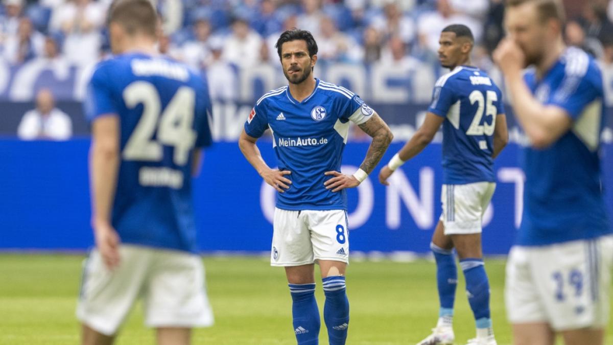 Schafft der FC Schalke 04 am 34. Spieltag noch das Wunder und bleibt in der Fu&szlig;ball-Bundesliga? (Foto)