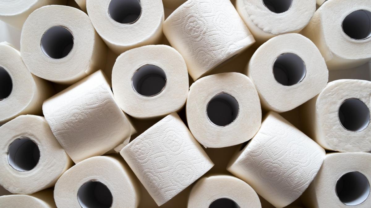 Deutsche Verbraucher f&uuml;hlen sich erinnert: Toilettenpapier wird in Italien zum Luxusgut (Symbolfoto) (Foto)