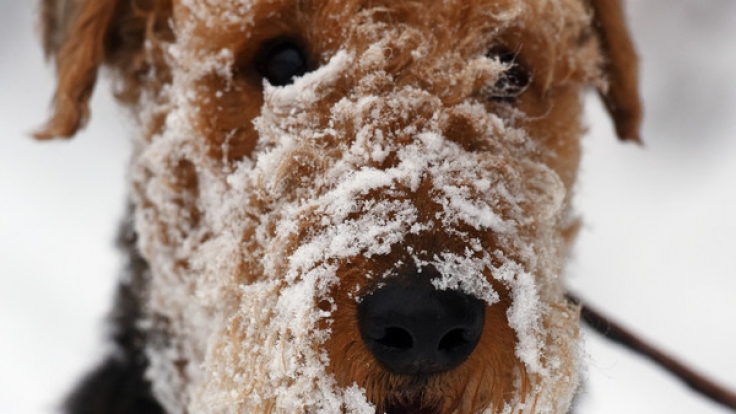 Pünktlich zum Novemberausklang wird in Deutschland Schnee erwartet.