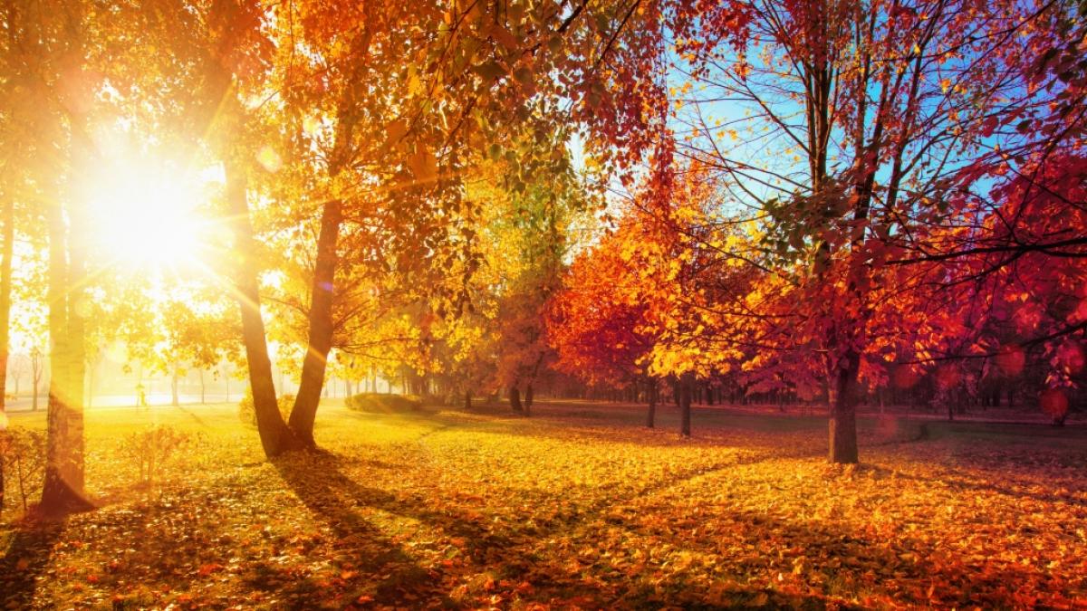 Goldener Oktober in Deutschland: Bleibt das sch&ouml;ne Herbstwetter auch am Wochenende? (Symbolfoto) (Foto)