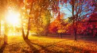 Goldener Oktober in Deutschland: Bleibt das schöne Herbstwetter auch am Wochenende? (Symbolfoto)
